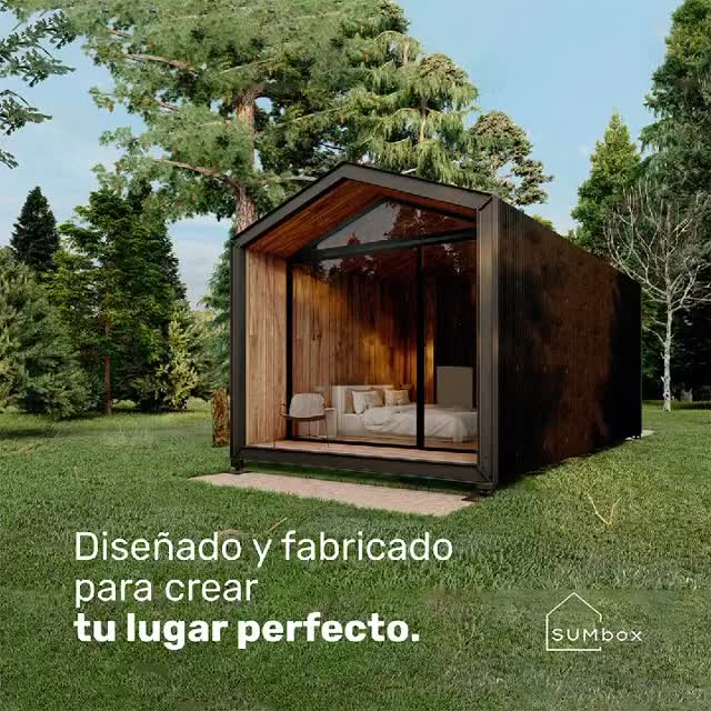 Video del proyecto